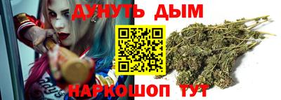 твердый Кингисепп