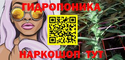 spice Кимры