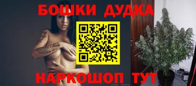 твердый Кингисепп