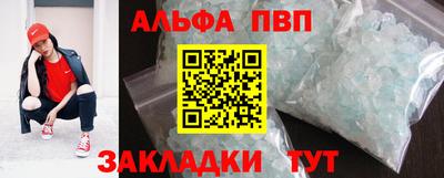 твердый Кингисепп